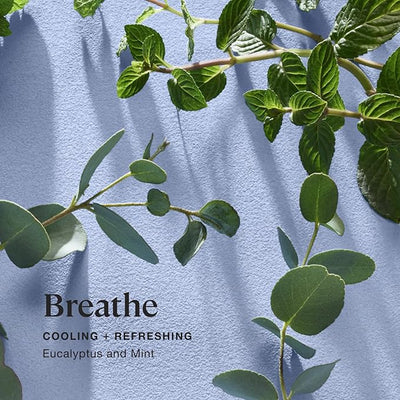 Sprig by Kohler Scented Candle, Breathe, 8 oz