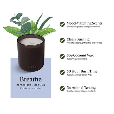 Sprig by Kohler Scented Candle, Breathe, 8 oz