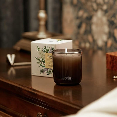 Sprig by Kohler Scented Candle, Shield, 8 oz