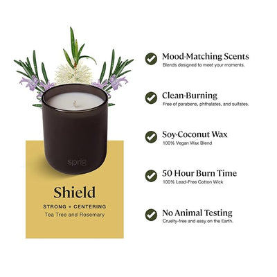 Sprig by Kohler Scented Candle, Shield, 8 oz